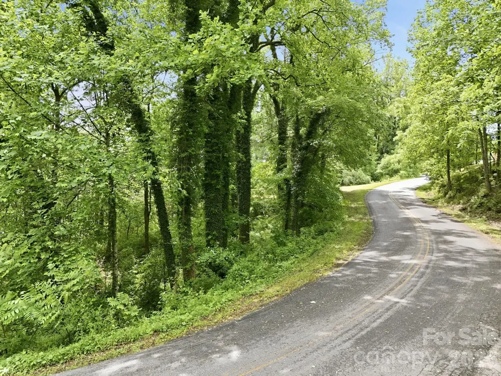 Tbd Tract C Pole Miller Extension Brevard NC 28712