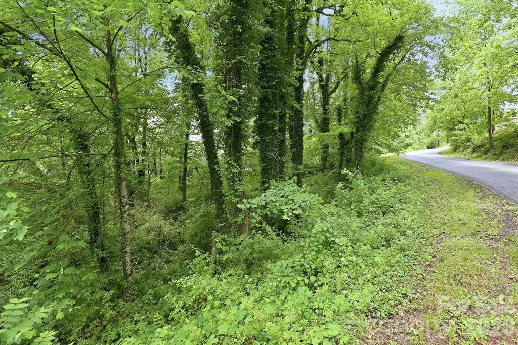 Tbd Tract C Pole Miller Extension Brevard NC 28712