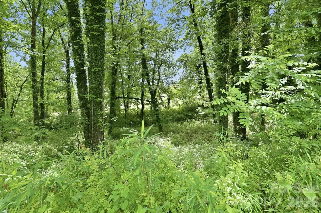 Tbd Tract C Pole Miller Extension Brevard NC 28712