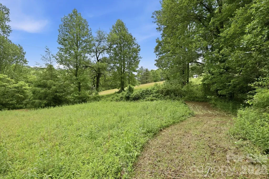 Tbd Tract C Pole Miller Extension Brevard NC 28712