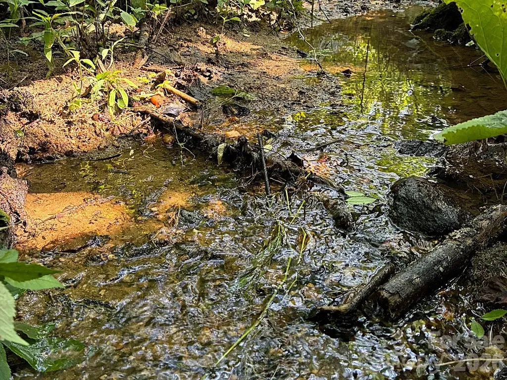 Tbd Tract C Pole Miller Extension Brevard NC 28712
