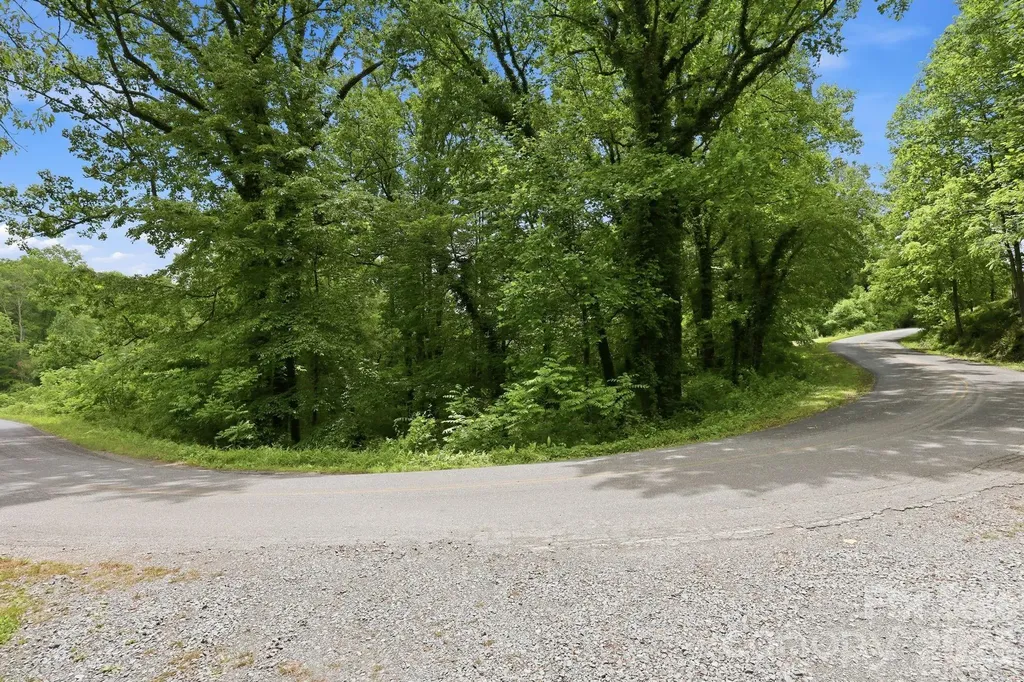 Tbd Tract C Pole Miller Extension Brevard NC 28712