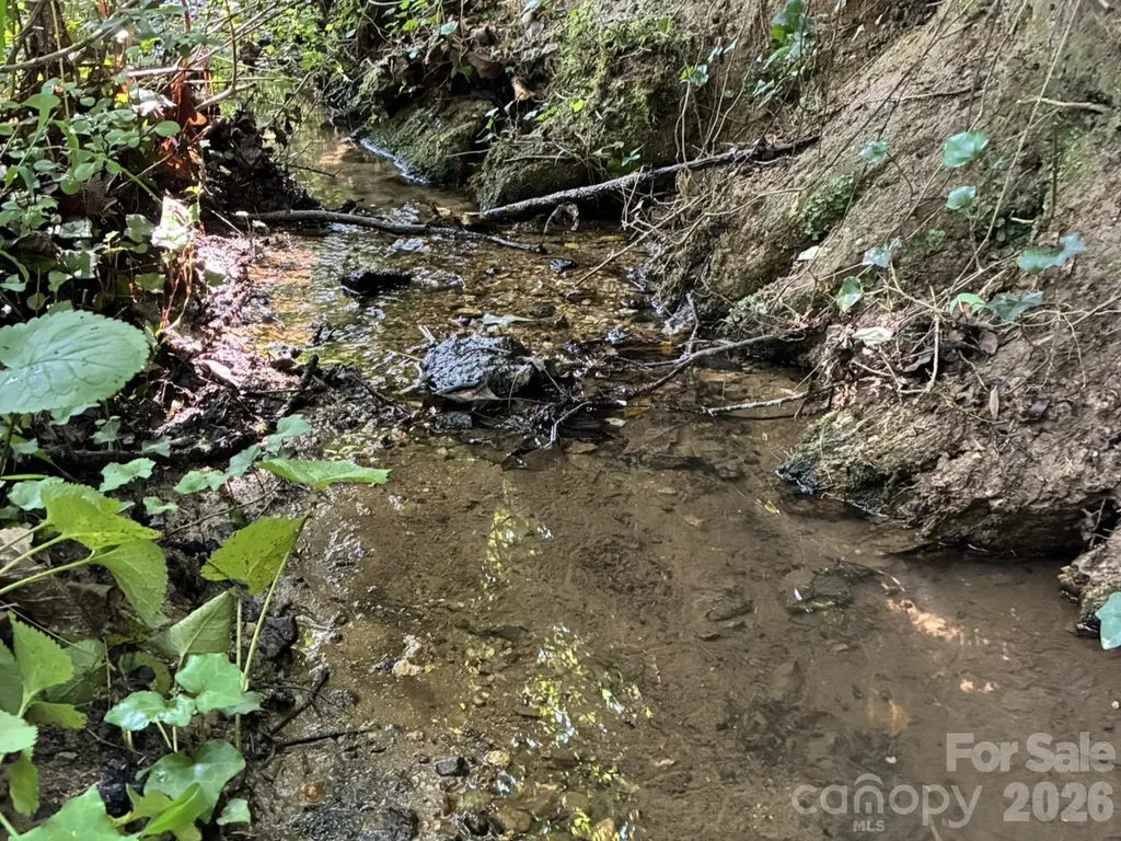 Tbd Tract C Pole Miller Extension Brevard NC 28712