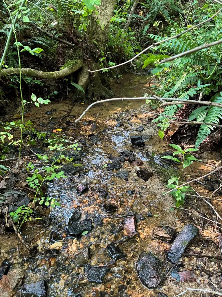 Tbd Tract C Pole Miller Extension Brevard NC 28712