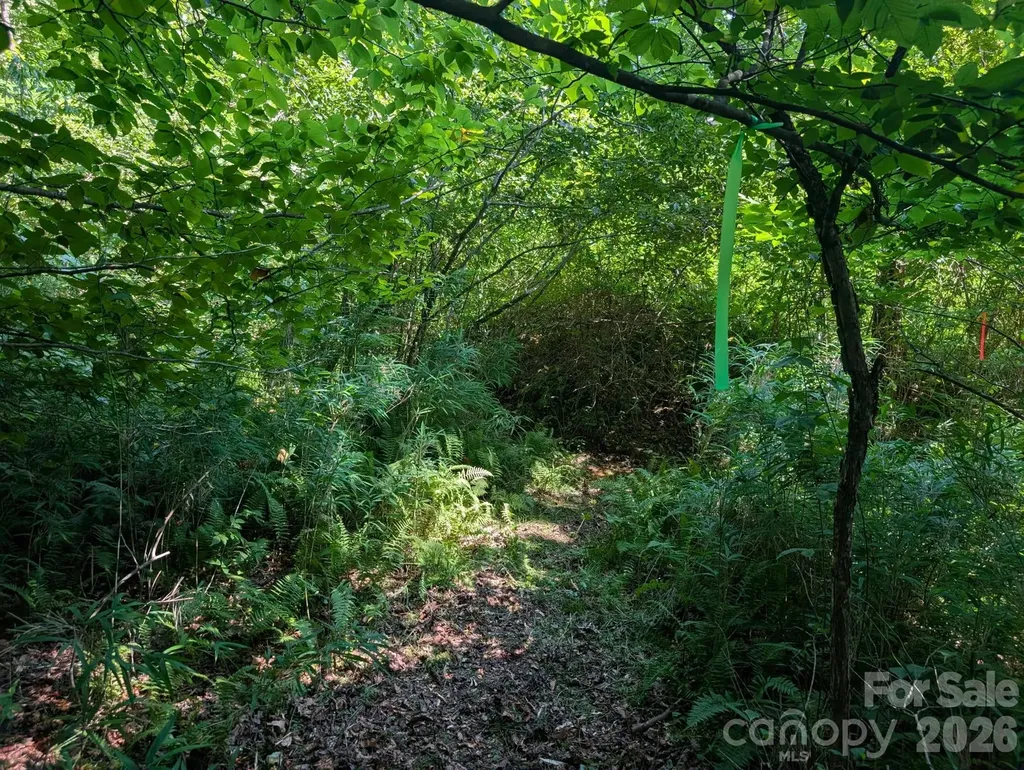 Tbd Tract C Pole Miller Extension Brevard NC 28712