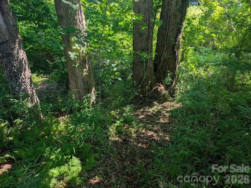 Tbd Tract C Pole Miller Extension Brevard NC 28712