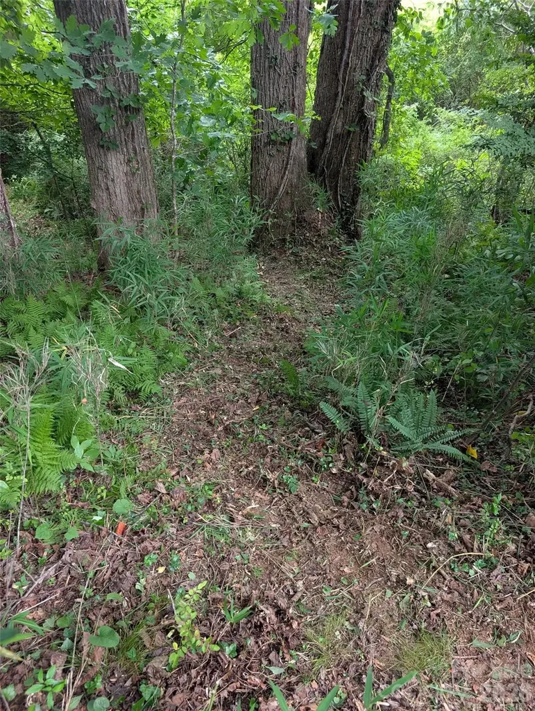 Tbd Tract C Pole Miller Extension Brevard NC 28712