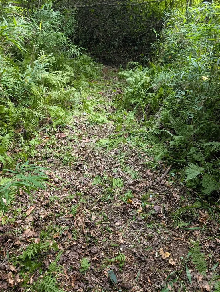 Tbd Tract C Pole Miller Extension Brevard NC 28712