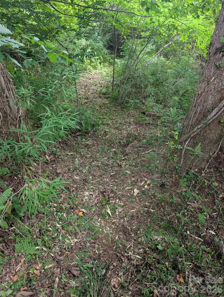 Tbd Tract C Pole Miller Extension Brevard NC 28712