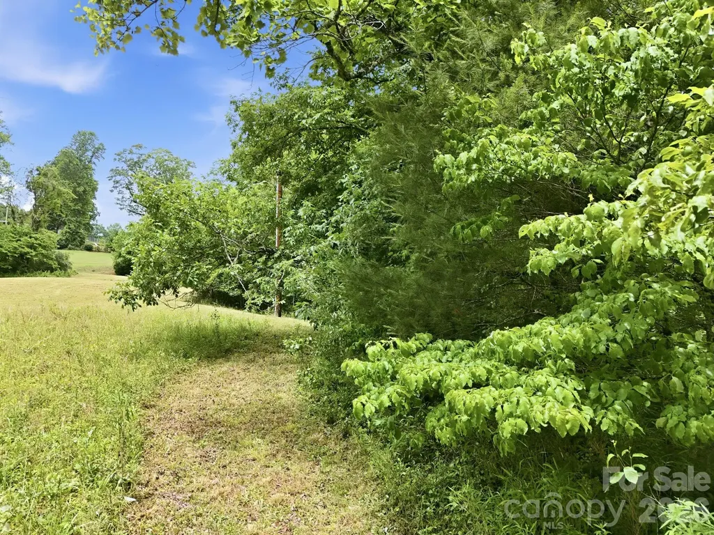 Tbd Tract C Pole Miller Extension Brevard NC 28712