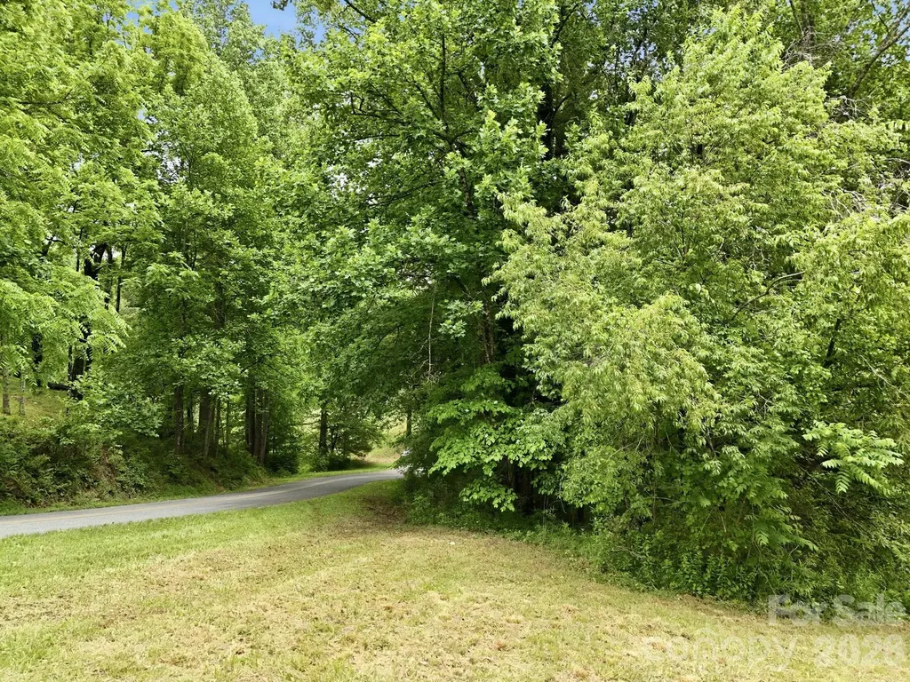 Tbd Tract C Pole Miller Extension Brevard NC 28712