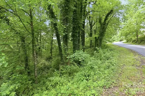 Tbd Tract C Pole Miller Extension Brevard NC 28712