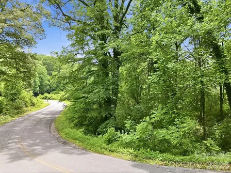 Tbd Tract C Pole Miller Extension Brevard NC 28712