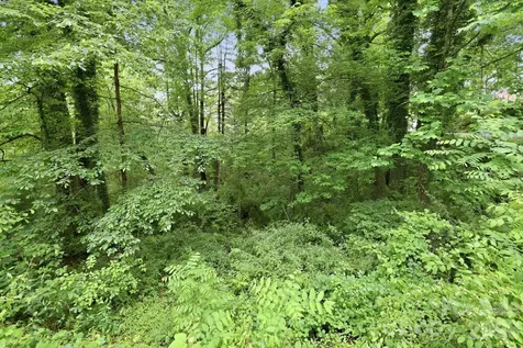 Tbd Tract C Pole Miller Extension Brevard NC 28712
