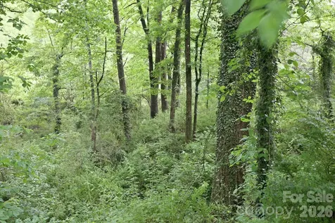Tbd Tract C Pole Miller Extension Brevard NC 28712