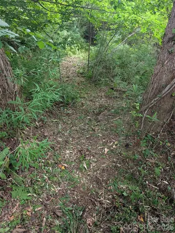 Tbd Tract C Pole Miller Extension Brevard NC 28712