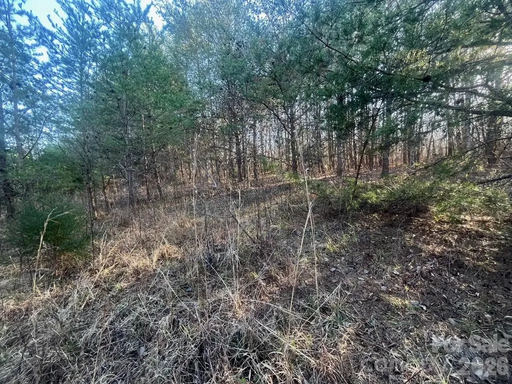 Tbd Southern Way Nebo NC 28761
