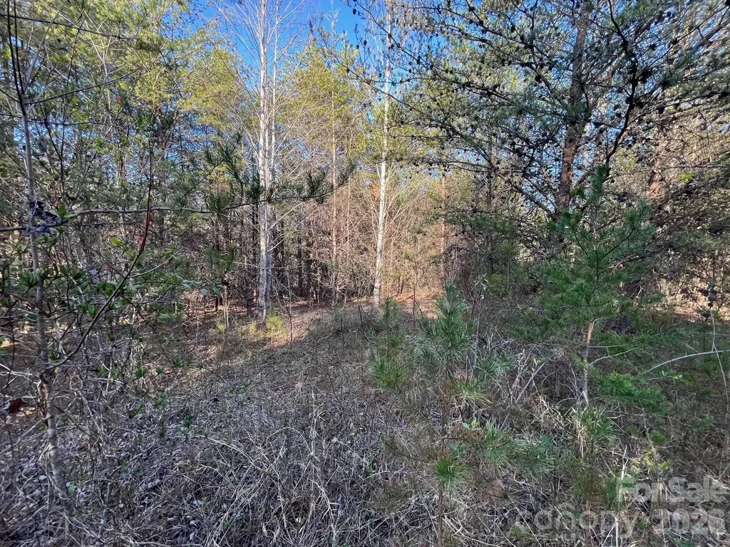 Tbd Southern Way Nebo NC 28761