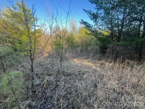 Tbd Southern Way Nebo NC 28761