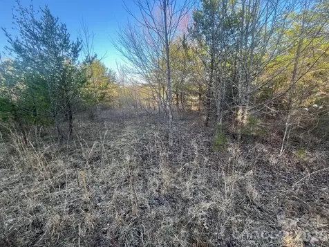 Tbd Southern Way Nebo NC 28761