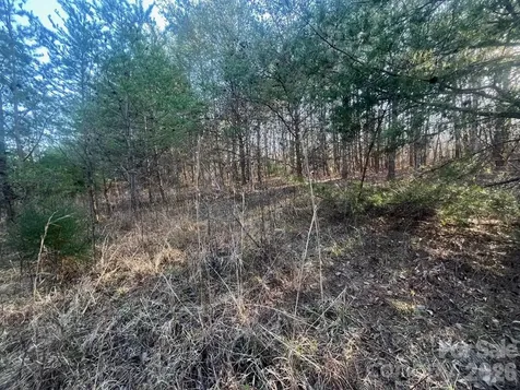 Tbd Southern Way Nebo NC 28761