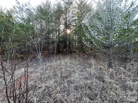 Tbd Southern Way Nebo NC 28761