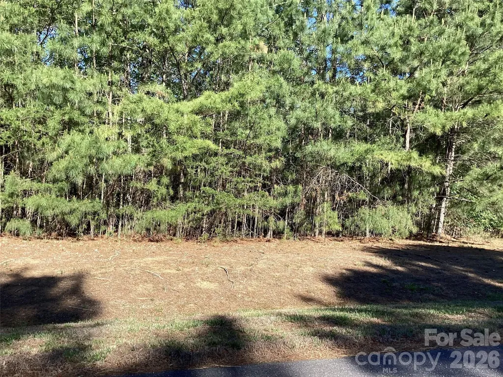 307 Twin Cove Drive Connelly Springs NC 28612