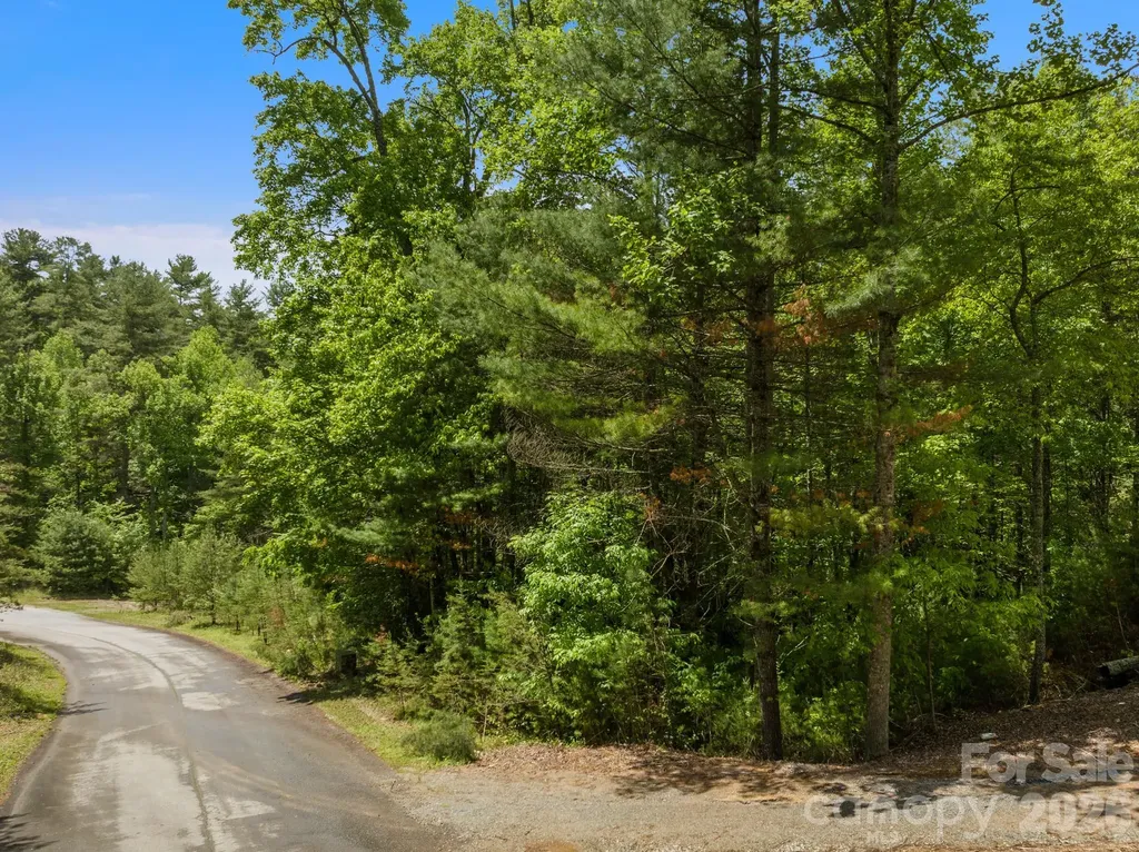 Lot #28 Awi Trail Hendersonville NC 28739