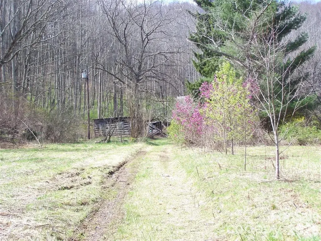 Waynesville NC, 58 Collier Lane