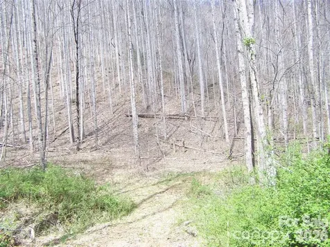 58 Collier Lane Waynesville NC 28786