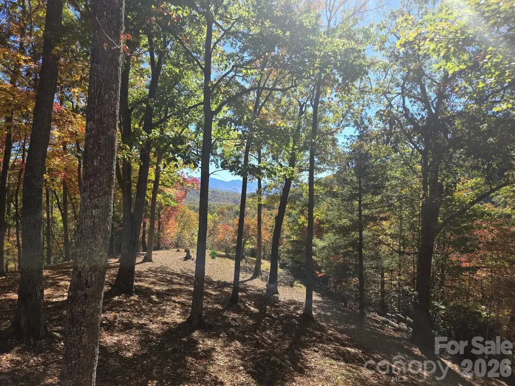 820 Wild Rose Lane Burnsville NC 28714