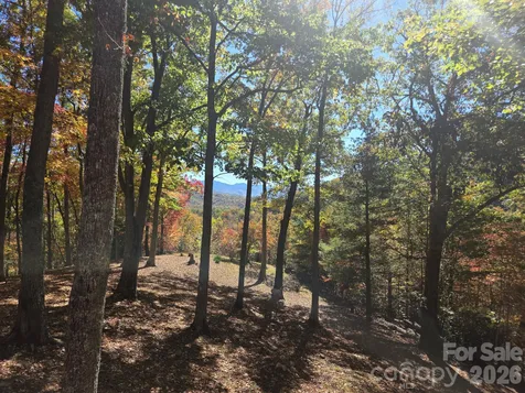 820 Wild Rose Lane Burnsville NC 28714
