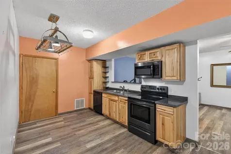66 Misery Ridge Trail Mill Spring NC 28756