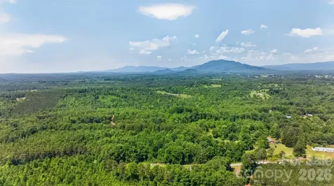 66 Misery Ridge Trail Mill Spring NC 28756