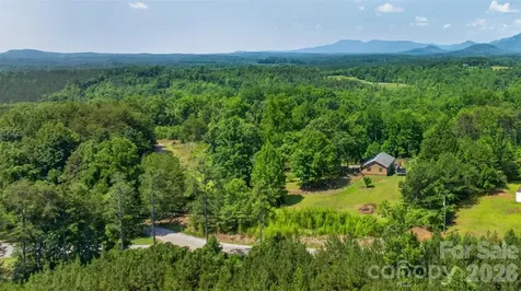 66 Misery Ridge Trail Mill Spring NC 28756