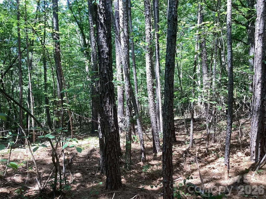 00 Powell Road Mill Spring NC 28756