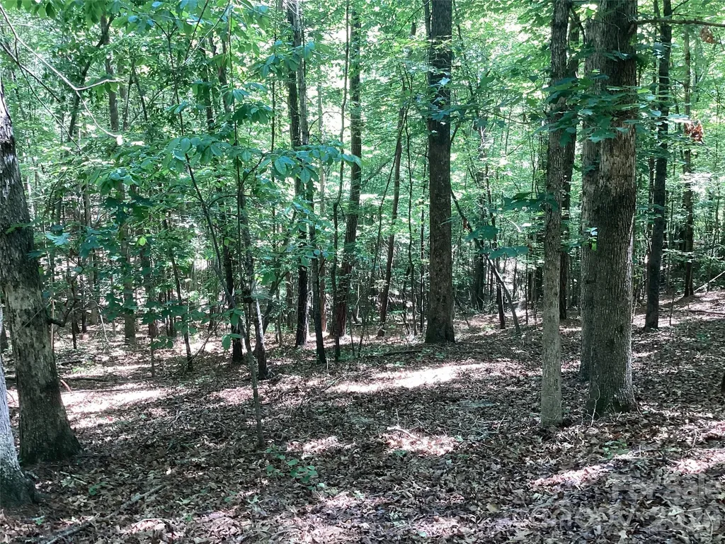 00 Powell Road Mill Spring NC 28756
