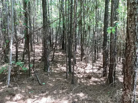 00 Powell Road Mill Spring NC 28756