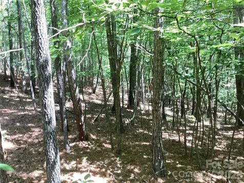 00 Powell Road Mill Spring NC 28756