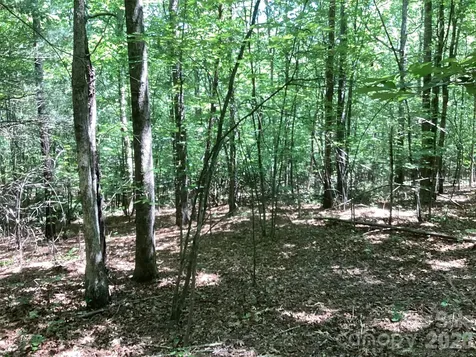 00 Powell Road Mill Spring NC 28756