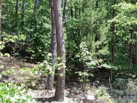 00 Powell Road Mill Spring NC 28756