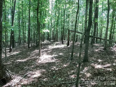 00 Powell Road Mill Spring NC 28756