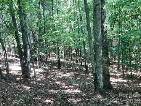 00 Powell Road Mill Spring NC 28756