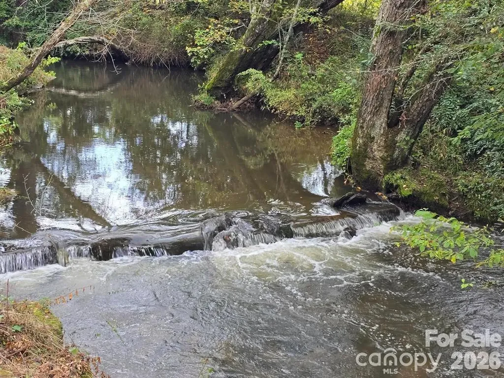 128 Cook Lane Mills River NC 28759