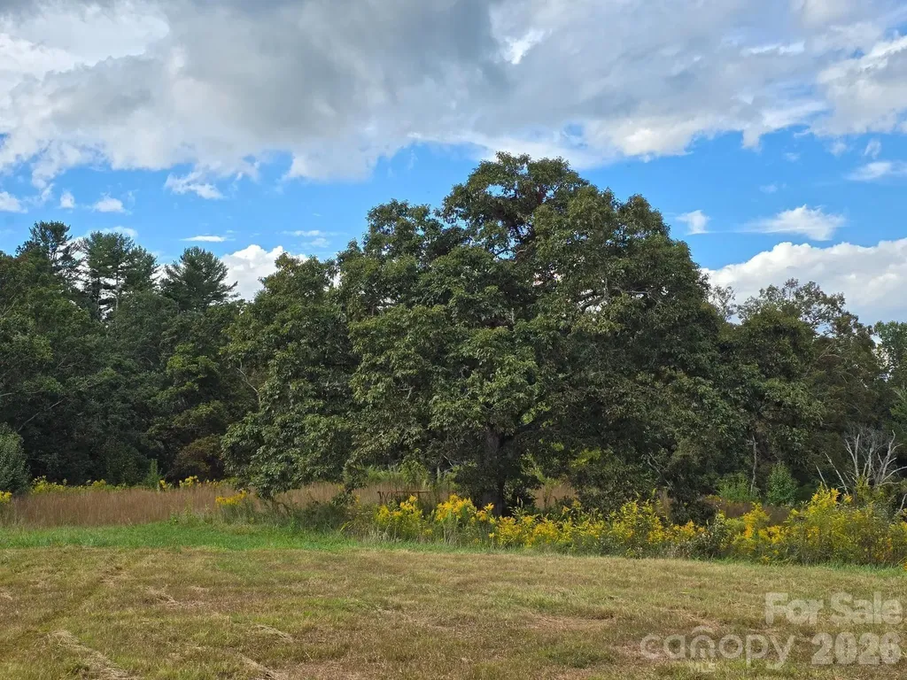 128 Cook Lane Mills River NC 28759