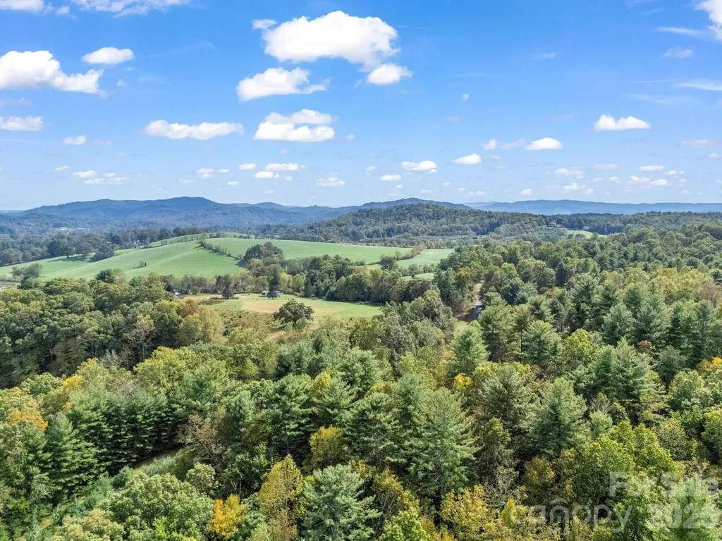 000 Cook Lane Mills River NC 28759