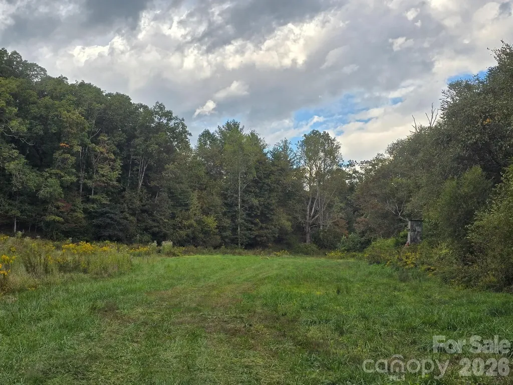 000 Cook Lane Mills River NC 28759