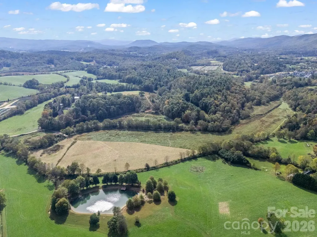 000 Cook Lane Mills River NC 28759