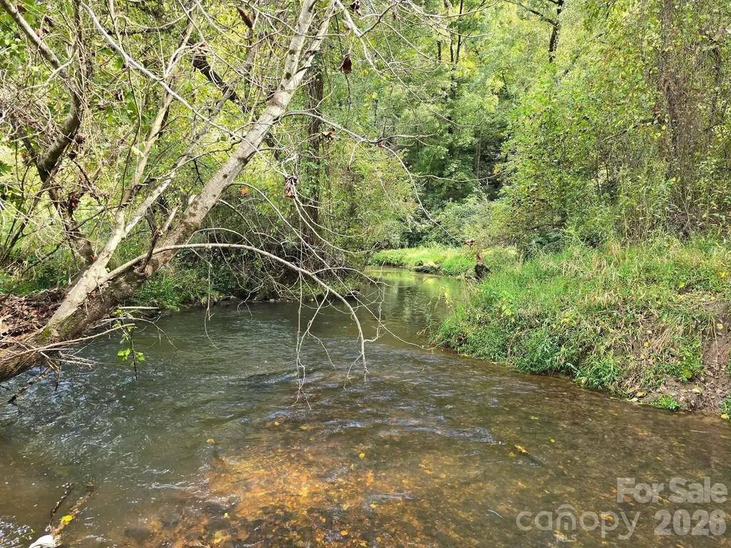 000 Cook Lane Mills River NC 28759