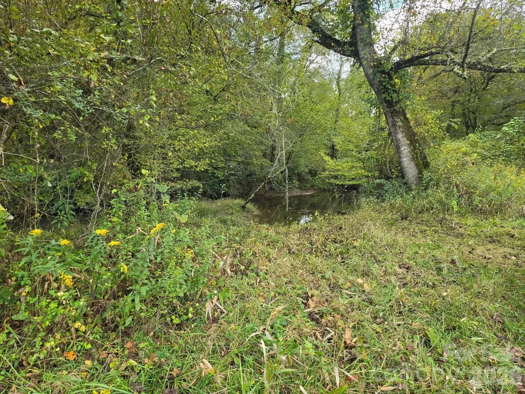 000 Cook Lane Mills River NC 28759